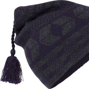 NWT Unisex Icebreaker Cornice Merino Wool Beanie